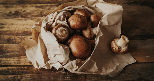 Foraging Vol 2: Wild Chestnut Mushrooms